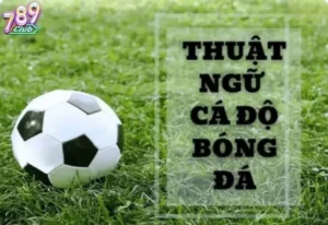 Thuat Ngu Ca Do Bong Da